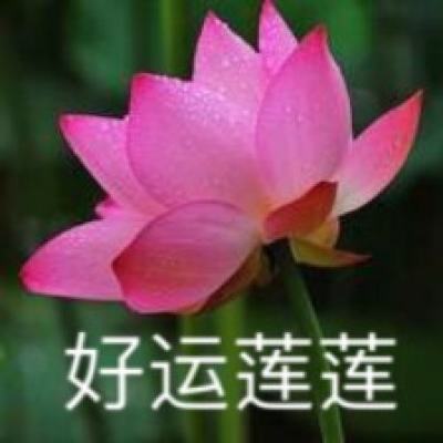 京彩乐市新春乐购会将在北京坊举办